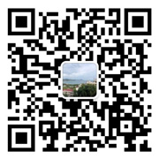 the qr code